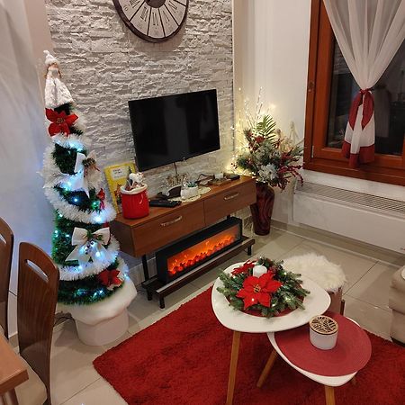 Vesna Apartman Vrnjacka Banja Ngoại thất bức ảnh