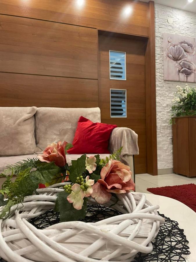 Vesna Apartman Vrnjacka Banja Ngoại thất bức ảnh