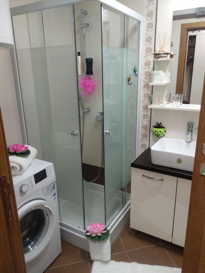 Vesna Apartman Vrnjacka Banja Ngoại thất bức ảnh