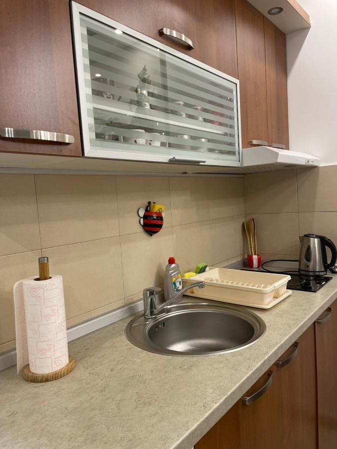 Vesna Apartman Vrnjacka Banja Ngoại thất bức ảnh