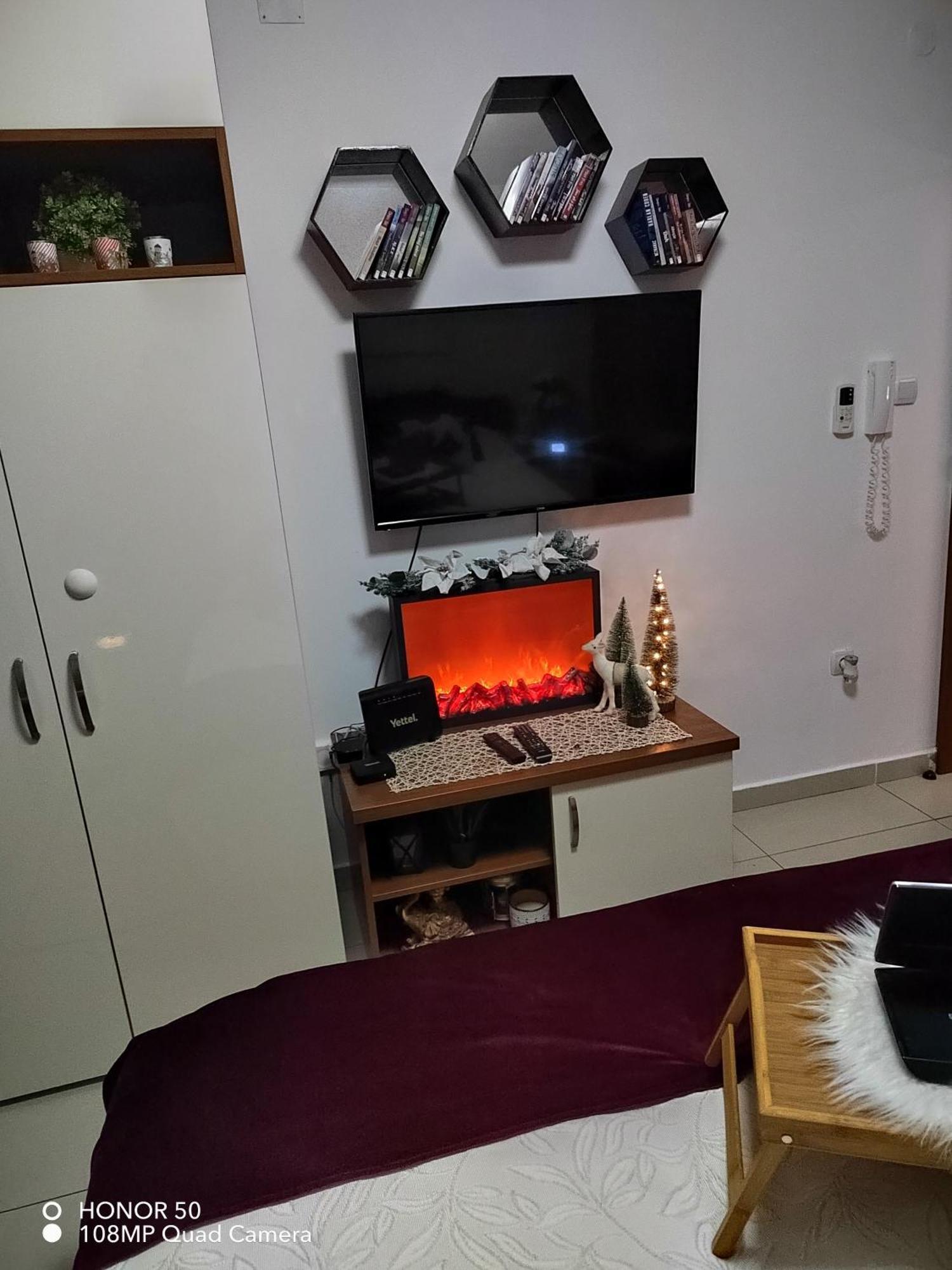 Vesna Apartman Vrnjacka Banja Ngoại thất bức ảnh