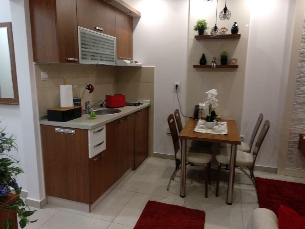 Vesna Apartman Vrnjacka Banja Ngoại thất bức ảnh